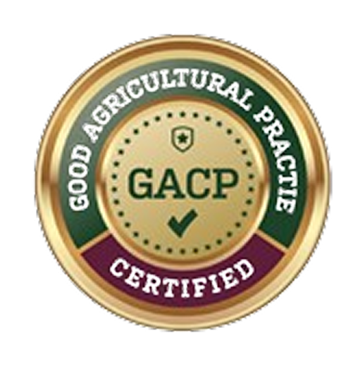 gacp